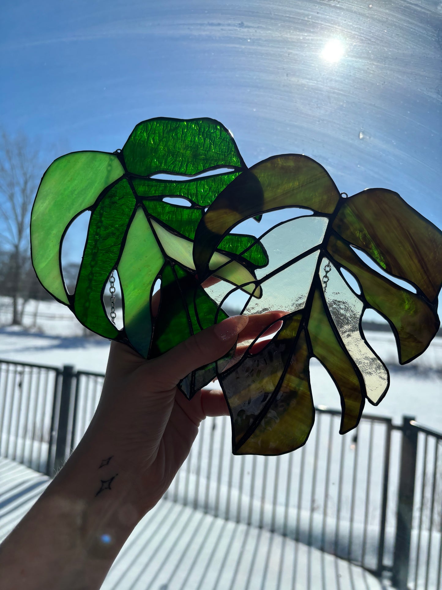 Monstera Leaf