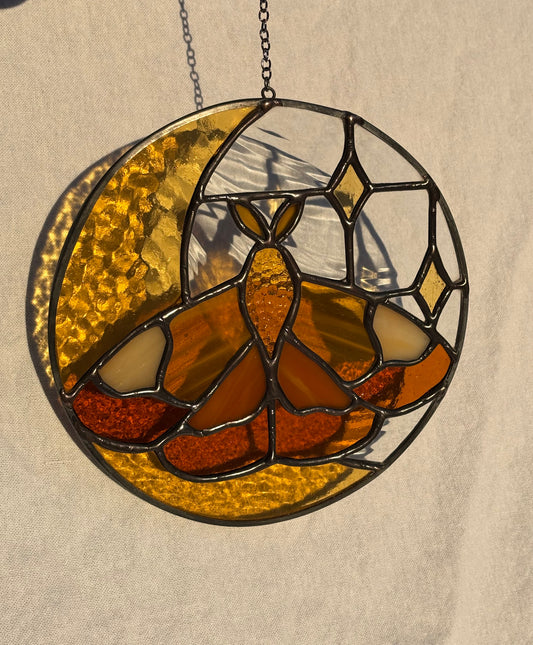 Moonlit Moth